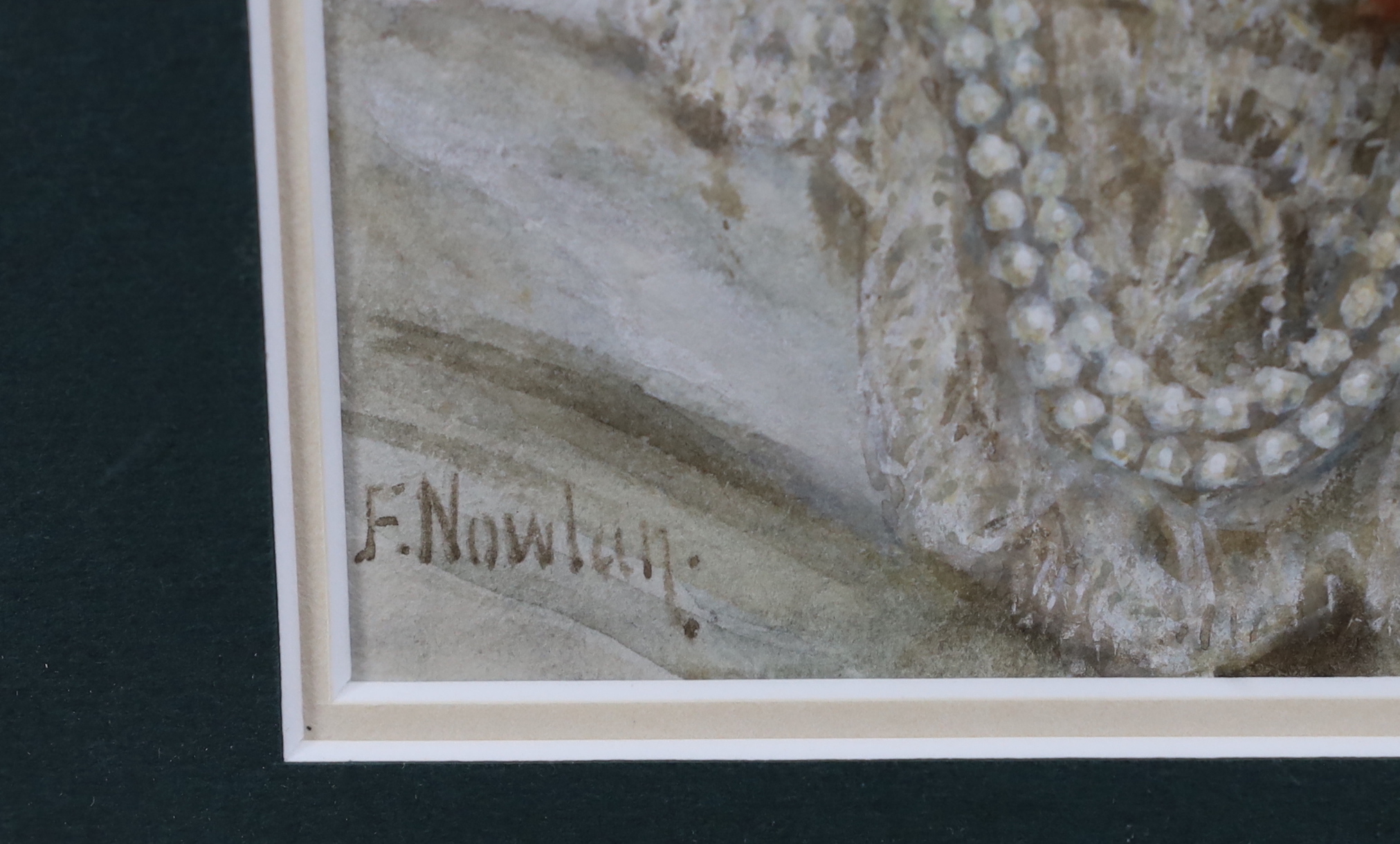 Frank Nowlan R.A (1835-1910), heightened watercolour, Head and shoulders portrait of a lady, signed, 25 x 17cm